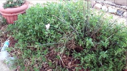 Primerose Opens New Location 🌸