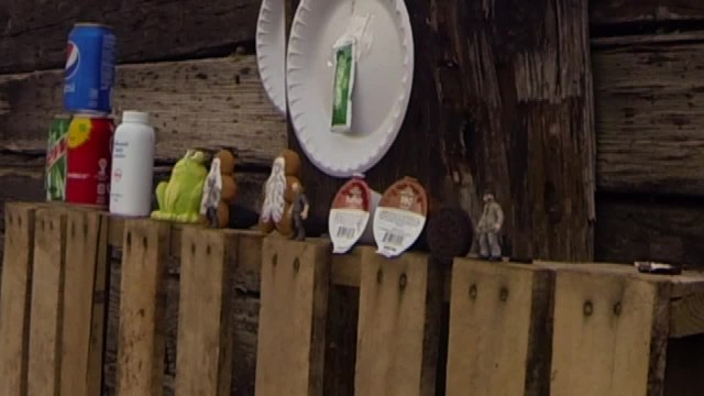 Gun Nuts: Make Your Own Shooting Gallery