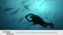 World's Best Diving: Okeanos Aggressor and Wind Dancer!
