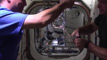 Space Station Astronauts Grow a Water Bubble in Space