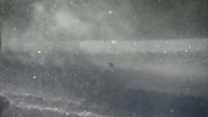 Ducati Wrooom 2012 Action