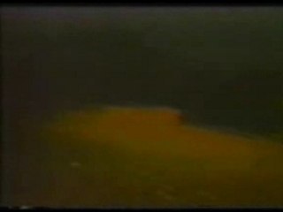 Nina Hagen - Don'T Kill The Animals