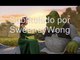 Rufus Wainwright - Hallelujah ( Aleluya ) Subtitulada en español Shrek