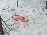 O filho escreve uma mensagem com sangue para sua mãe na neve