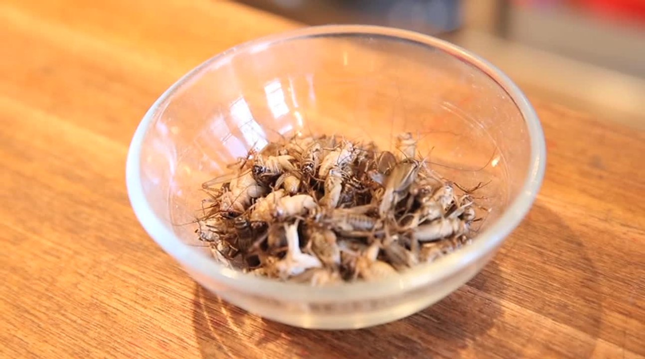 How To Cook Crickets video Dailymotion