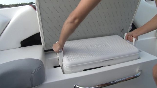 MasterCraft Removable Cooler