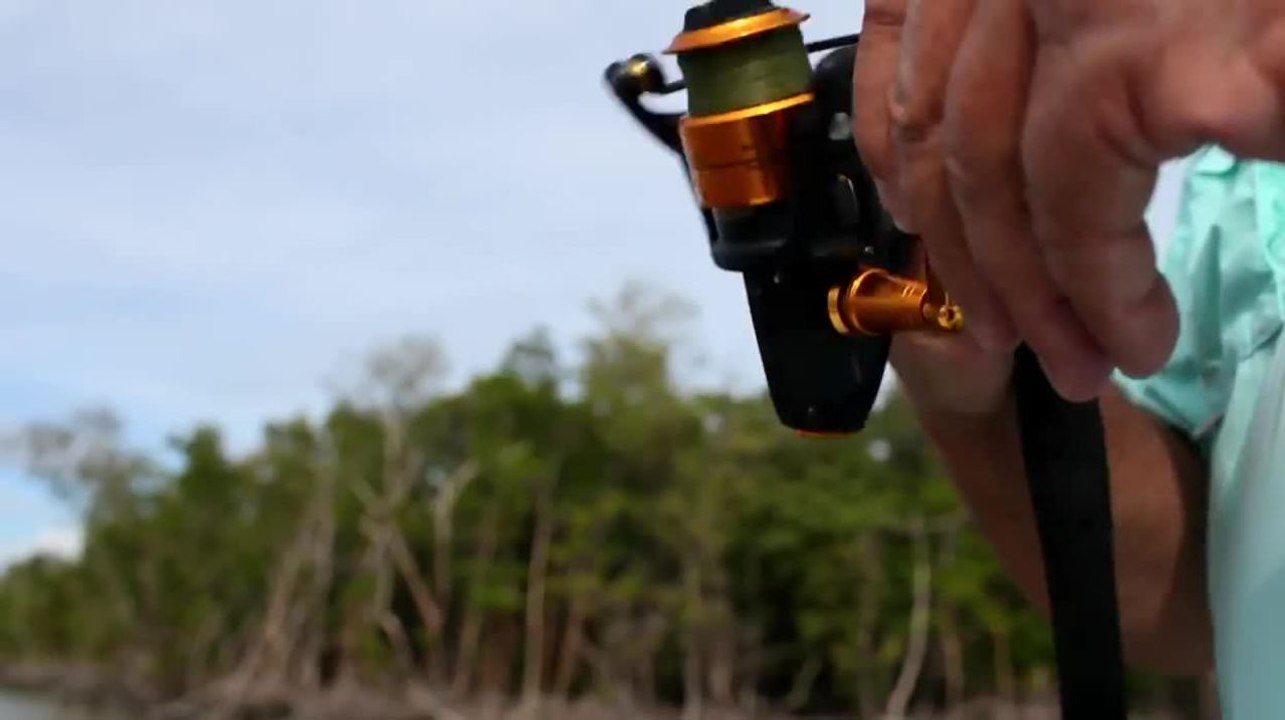 Get Reel - Checking Rod Guides for Nicks