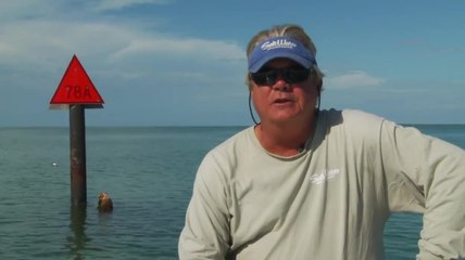 Get Reel - Catch and Release