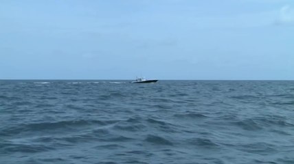 Bimini Pure Fishing - Part 3 of 4