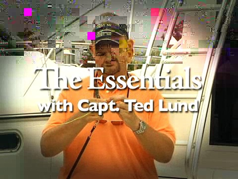 The Essentials: An Introduction
