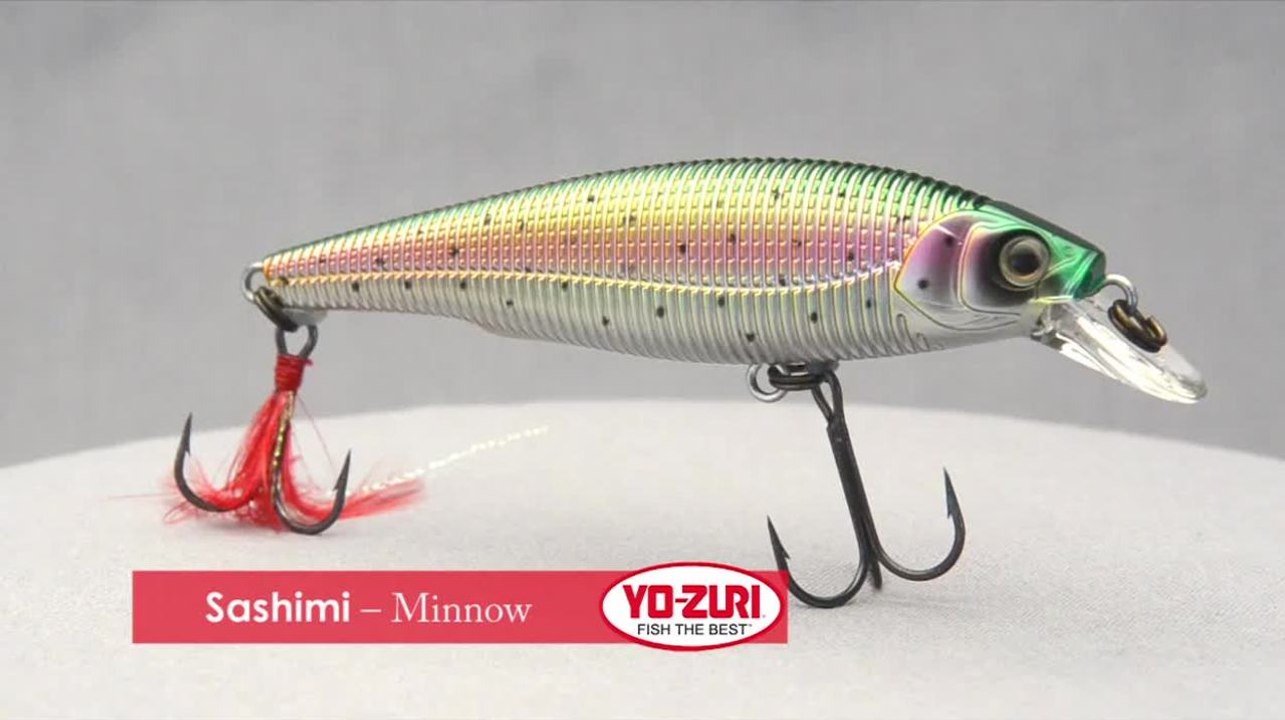 Sashimi - Minnow