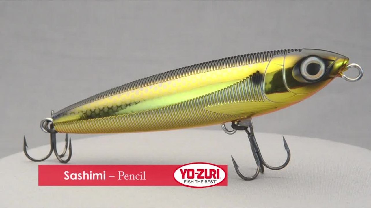 Sashimi - Pencil