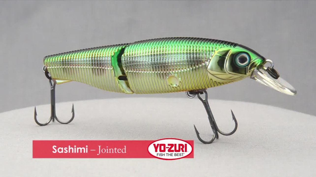Sashimi - Jointed
