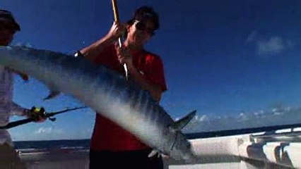 Episode 11 - Sailing the Keys