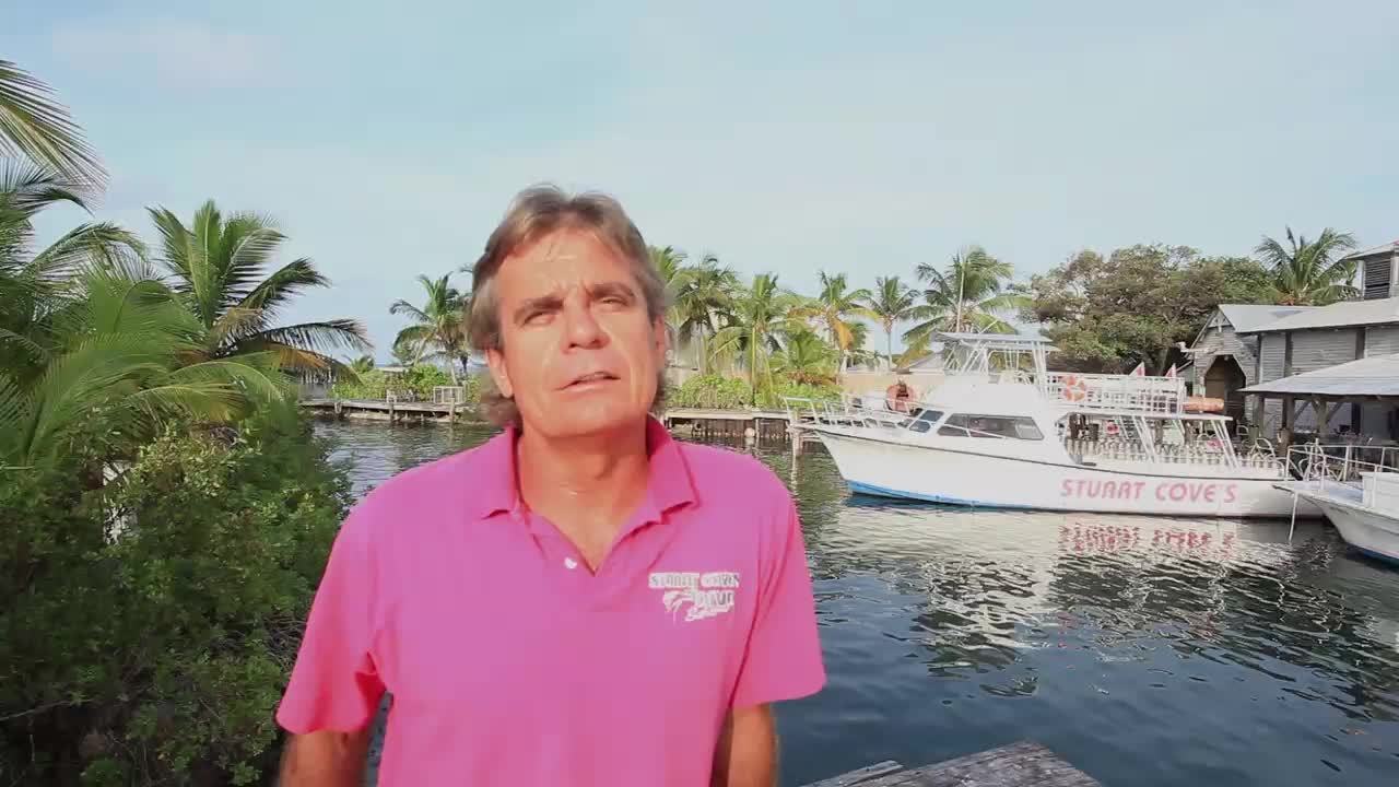Stuart Cove's Dive Bahamas Top 5: Wrecks