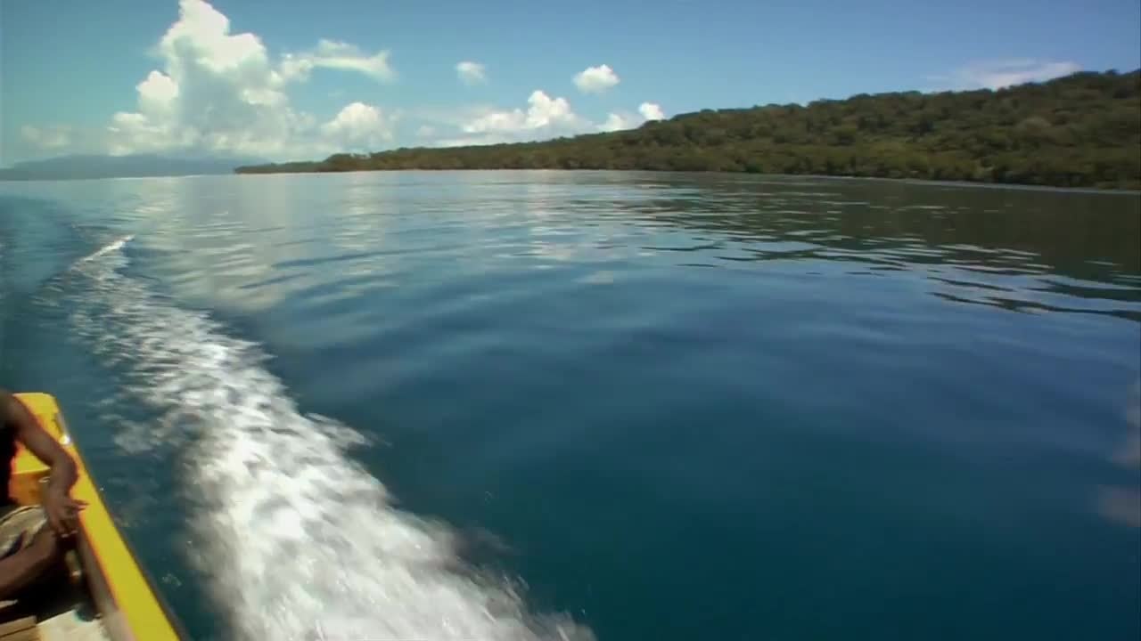 Water World Ocean Conservation