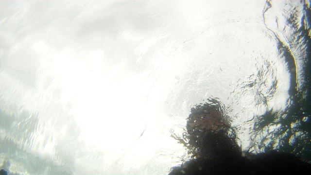 Mergulhando em Ubatuba, Natureza marinha, passeio de barco, Praia do Cedro, Praia do Alto, Ubatuba, SP, Brasil, Marcelo Ambrogi