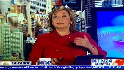 ¡Impresionante! Turistas en jaula, animales libres: así es este zoológico ubicado en China