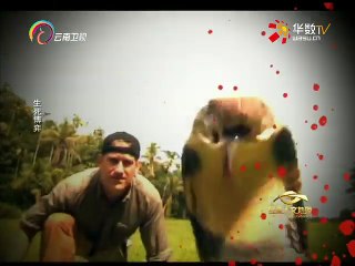 20160223 经典人文地理   生死博弈