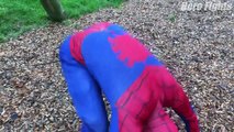 Spiderman Vs Hulk - Spiderman Fights Incredible Hulk In Real Life | Fun Superheroes Movie