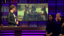 De headlines van dinsdag 23 februari 2016 - RTL LATE NIGHT (720p Full HD)