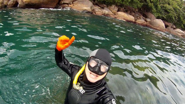 Mergulhando em Ubatuba, Natureza marinha, passeio de barco, Praia do Cedro, Praia do Alto, Ubatuba, SP, Brasil, Marcelo Ambrogi