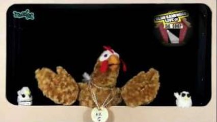 Funny HAPPY BIRTHDAY rap song!: Chicken Wrapper