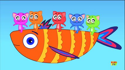 Five Little Kittens | Nursery Rhyme For Children And Kids Songs | Kids TV