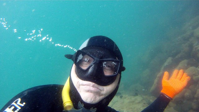 Mergulhando em Ubatuba, Natureza marinha, passeio de barco, Praia do Cedro, Praia do Alto, Ubatuba, SP, Brasil, Marcelo Ambrogi