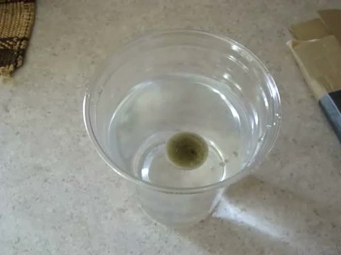 Magnet vs. Oil Spill