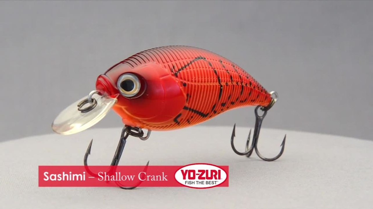 Sashimi - Shallow Crank