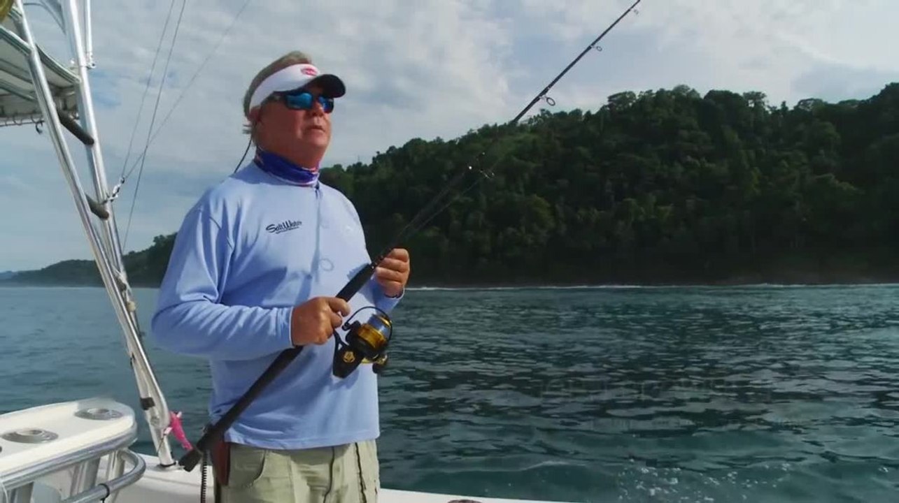 Costa Rica Roosterfish