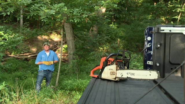 Deer Hunting Tip: Why You Should Hinge Cut Saplings