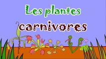 Les plantes carnivores - 2ème partie - dessin animé éducatif Genikids pour enfant