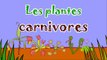 Les plantes carnivores - 2ème partie - dessin animé éducatif Genikids pour enfant