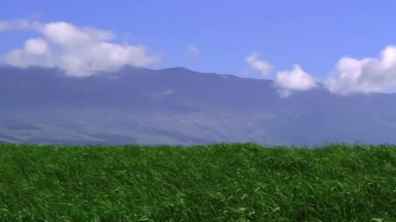 Robby Naish 2010 Highlights