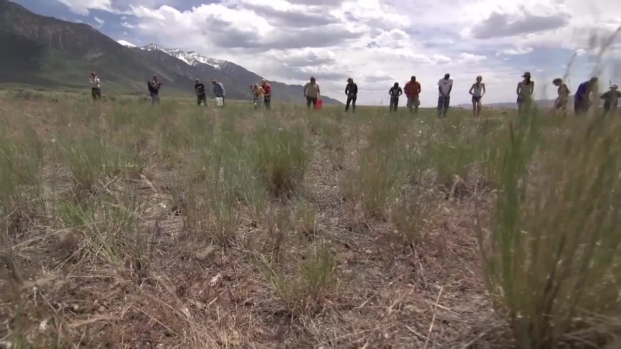 Hero for a Day 2014: Revitalizing a Wildlife Management Area for Utah Mule Deer