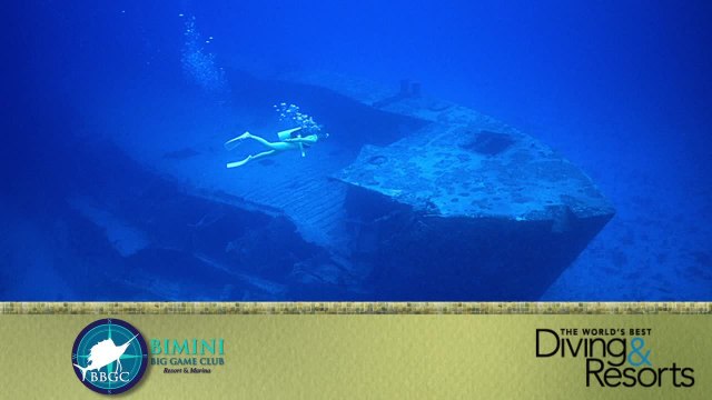 World's Best Diving & Resorts 2012: Bimini Big Game Club
