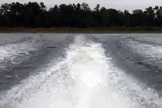 Nautique 200 Wakes