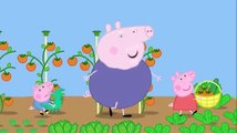 ΠΕΠΠΑ ΤΟ ΓΟΥΡΟΥΝΑΚΙ ΣΤΑ ΕΛΛΗΝΙΚΑ PEPPA PIG (GREEK AUDIO)