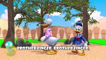 Donald Duck 3D Finger Family | Nursery Rhymes | 3D Animation In HD From Binggo Channel
