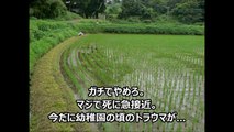 【閲覧注意】絶対にやってはいけない…やるとガチでやばい行為【実践禁止】