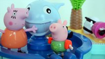 Pig George da Familia Peppa Pig Aprendendo a Nadar na Piscina!!! Em Portugues Tototoykids