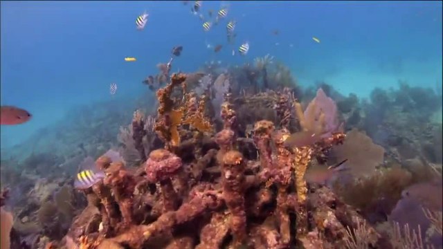 The Florida Keys and Key West