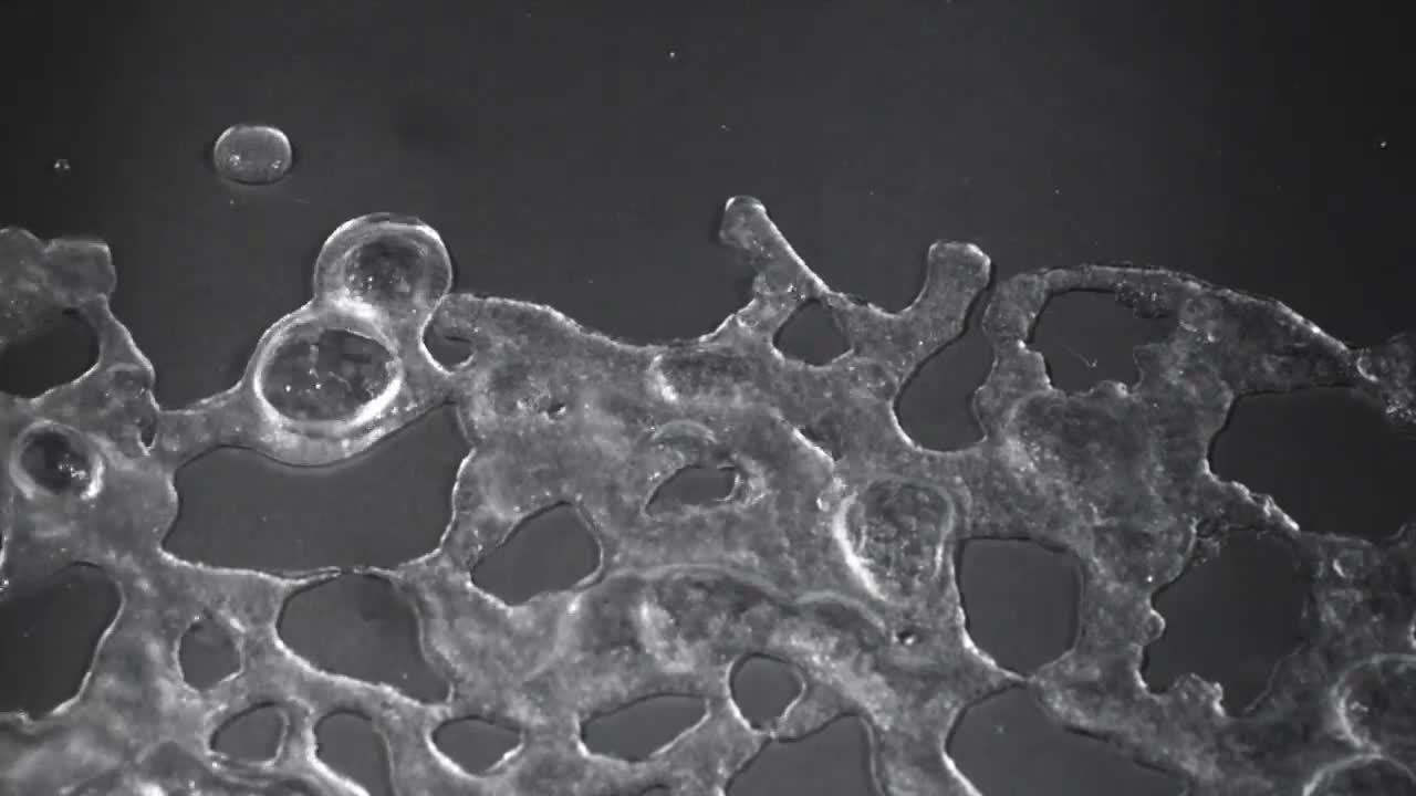 Nitrogen Snow