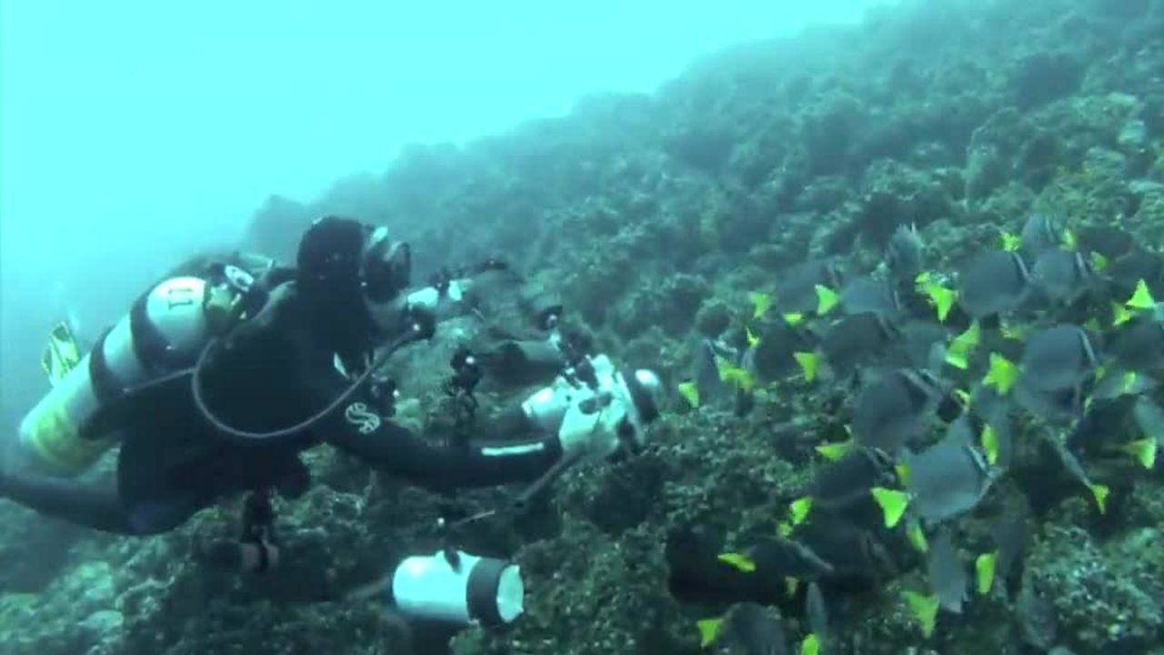 Galapagos Day 3