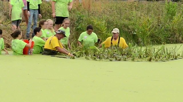 Hero for a Day 2014: Improving an Estuary for Juvenile Tarpon in Florida