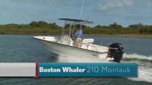 Boston Whaler 210 Montauk Fishing
