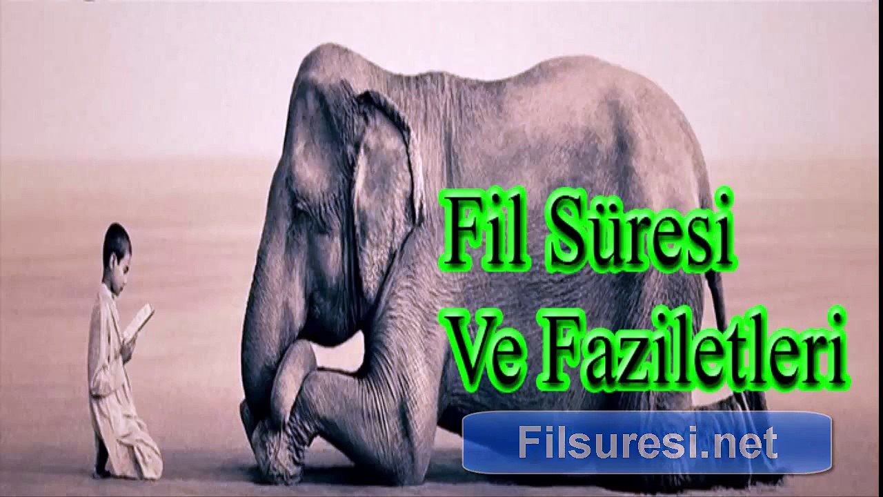 Fil Suresi