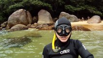 Mergulhando em Ubatuba, Natureza marinha, passeio de barco, Praia do Cedro, Praia do Alto, Ubatuba, SP, Brasil, Marcelo Ambrogi